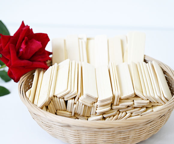 Eco-friendly Ice Cream Popsicle Stick Art Lolly Tools Popsicle Molds