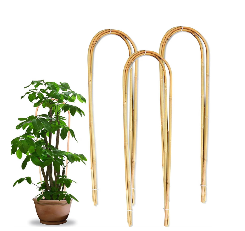 16" Bamboo trellis hoops for plants & crops