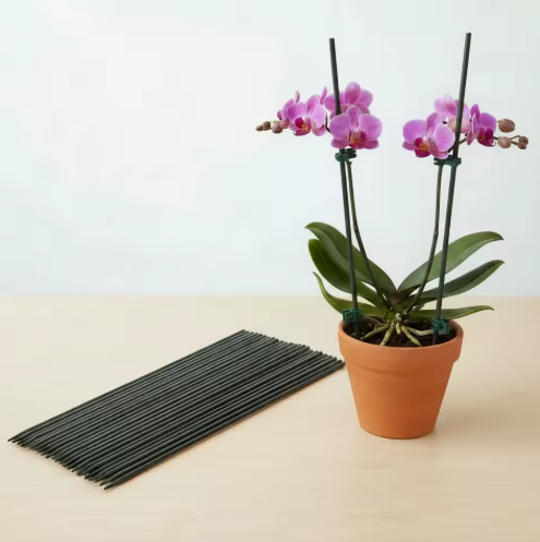 Plant Support Pack for Bouquets Tomato Vines Garden Plants Flower Sticks