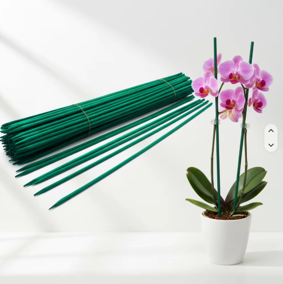 45cm (18inch) Green bamboo stakes seeding support pin